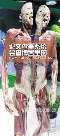 论文查重系统会查博客里的内容吗?【开元体育】(图2) 开元体育