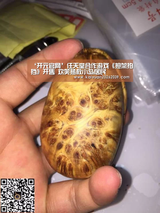‘开元官网’任天堂合作游戏《担架拍挡》开售 欢笑拯救小岛居民(图3) 开元竞猜