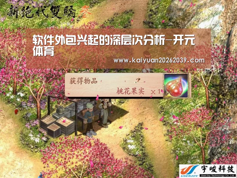 软件外包兴起的深层次分析-开元体育(图2) 开元直播