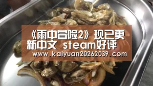 《雨中冒险2》现已更新中文 steam好评率爆棚-开元体育(图4) 开元直播