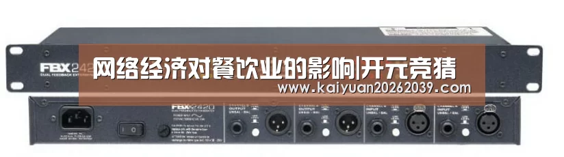 网络经济对餐饮业的影响|开元竞猜(图1) 开元竞猜